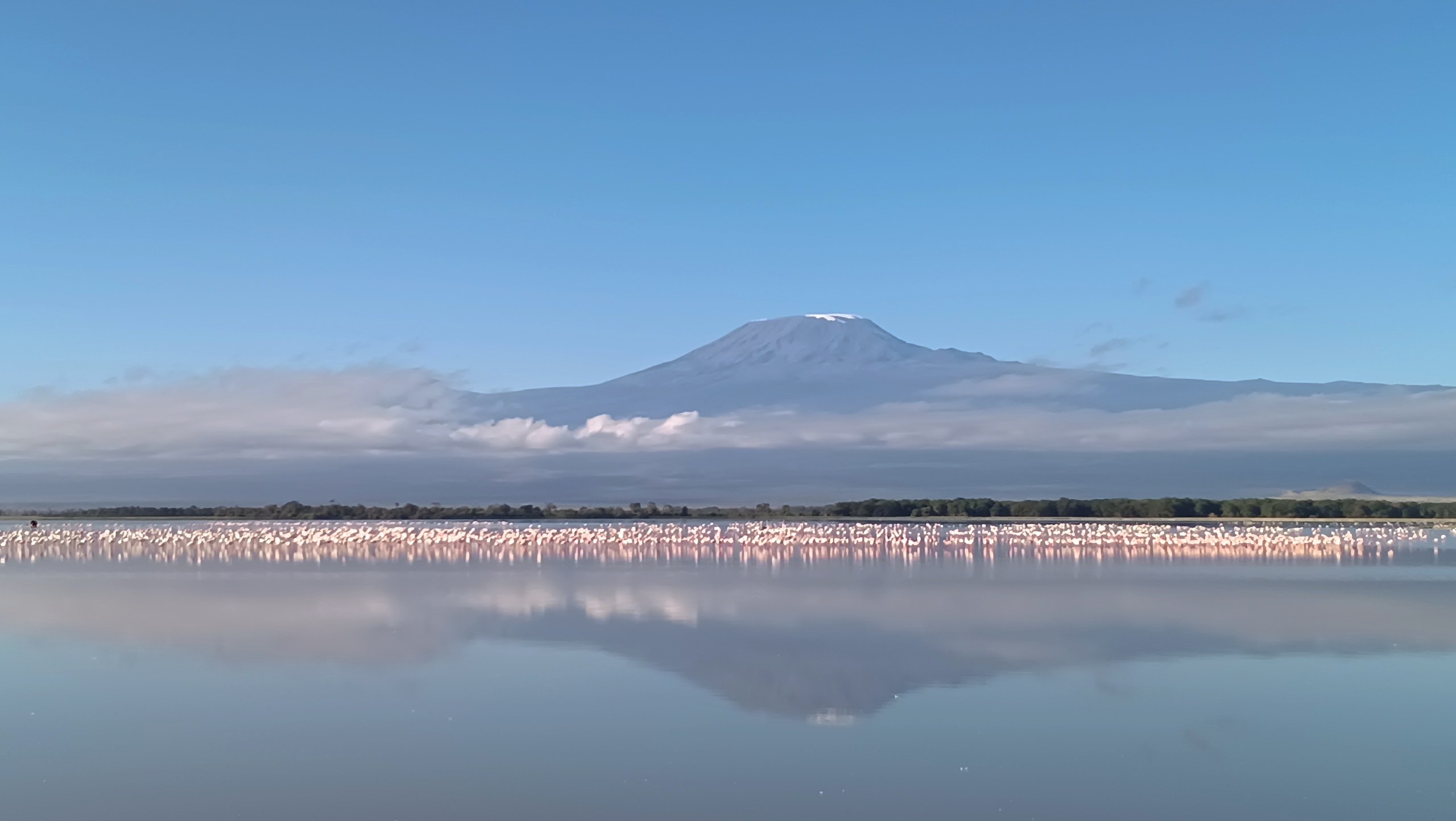 Galería de Amboseli 6
